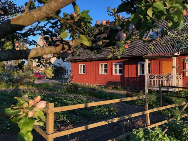Апарт отель Aengaroeds Gard Ljungbyhed Экстерьер фото